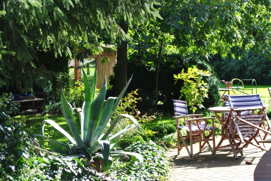 Blick durch das Sonnenblumenfeld auf den Wiesenwagen mit der Terrasse davor